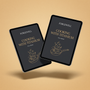 The Titanium Method Book