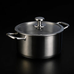 Titanium Cooking Pot with Lid